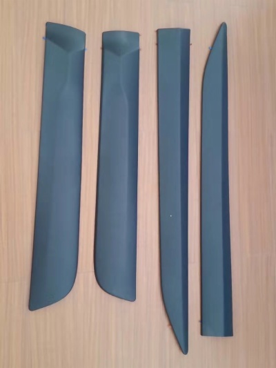Door Moulding for REVO 2016